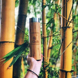 bamboo bottle