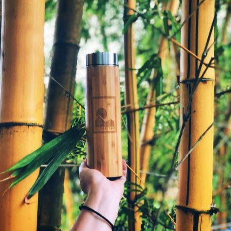 someone hold up the bamboo bottle with bamboo trees in the background