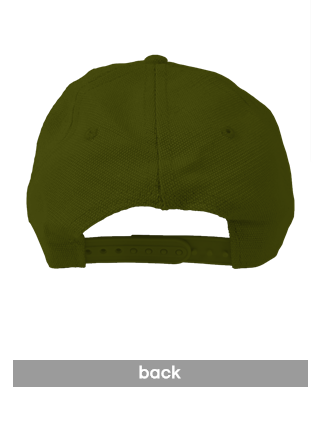SOL TERRA SHOP Hemp Baseball Cap in olive, back